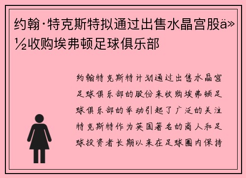 约翰·特克斯特拟通过出售水晶宫股份收购埃弗顿足球俱乐部